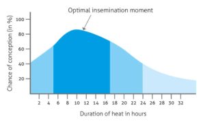 Optimal Insemination Graph