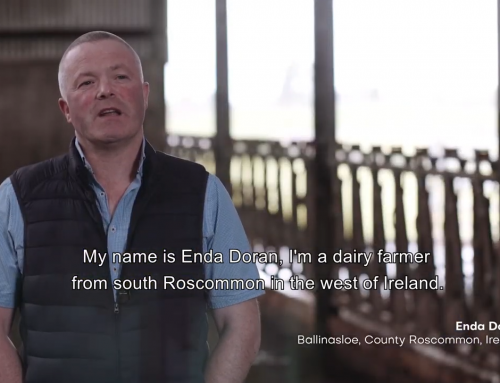 Enda Doran (Dairy Farmer – Ballinasloe, Ireland)