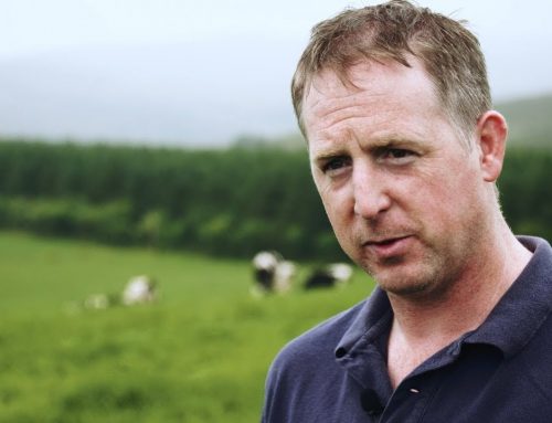 PJ O’Donoghue (Dairy Farmer – Ireland)